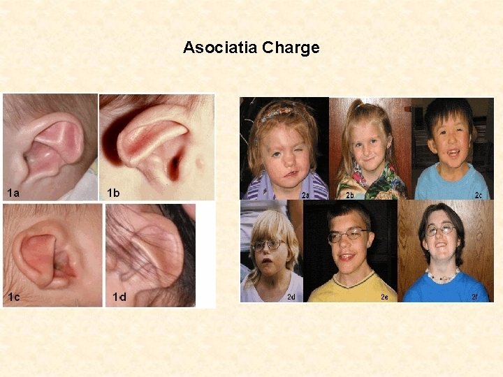 Asociatia Charge 