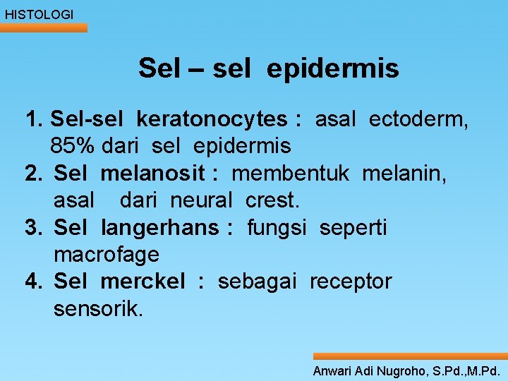 HISTOLOGI Sel – sel epidermis Click__to ____ edit Master _____: ____ text ectoderm, styles HISTOLOGI Sel – sel epidermis Click__to ____ edit Master _____: ____ text ectoderm, styles