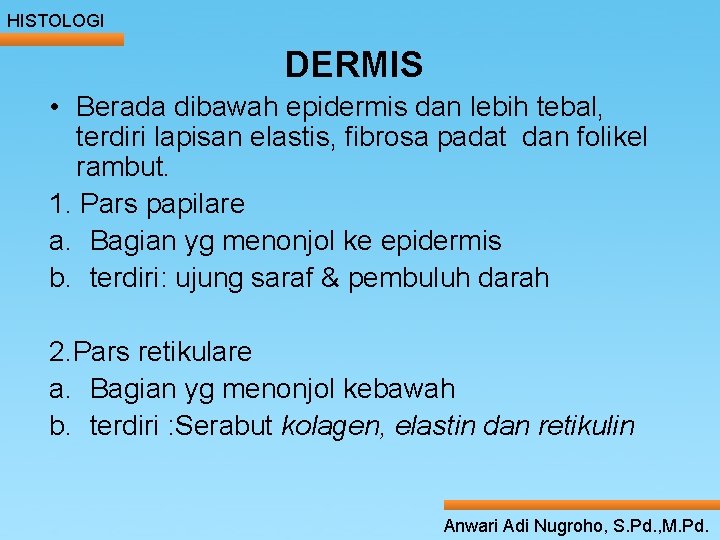 HISTOLOGI DERMIS • Berada dibawah epidermis dan lebih tebal, terdiri lapisan elastis, fibrosa padat HISTOLOGI DERMIS • Berada dibawah epidermis dan lebih tebal, terdiri lapisan elastis, fibrosa padat