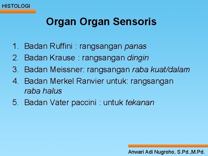 HISTOLOGI Organ Sensoris 1. ____ Badan Ruffini : rangsangan Click__ to____ edit Master _____panas HISTOLOGI Organ Sensoris 1. ____ Badan Ruffini : rangsangan Click__ to____ edit Master _____panas