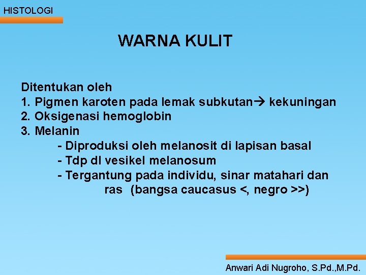 HISTOLOGI WARNA KULIT ____ Click__to____ edit Master _____ text styles ______ Ditentukan oleh _____ HISTOLOGI WARNA KULIT ____ Click__to____ edit Master _____ text styles ______ Ditentukan oleh _____