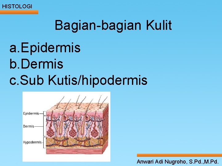 HISTOLOGI Bagian-bagian Kulit a. Epidermis ____ Click__to____ edit Master _____ text styles ______ Second HISTOLOGI Bagian-bagian Kulit a. Epidermis ____ Click__to____ edit Master _____ text styles ______ Second