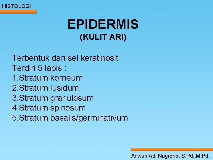 HISTOLOGI EPIDERMIS (KULIT ARI) ____ Click__to____ edit Master _____ text styles ______ dari sel HISTOLOGI EPIDERMIS (KULIT ARI) ____ Click__to____ edit Master _____ text styles ______ dari sel