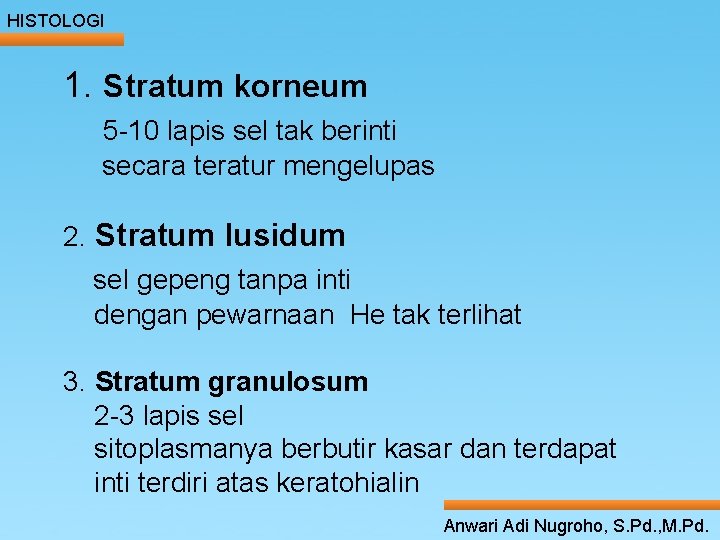 HISTOLOGI 1. Stratum korneum 5 -10 lapis sel tak berinti ____ Click __to ____ HISTOLOGI 1. Stratum korneum 5 -10 lapis sel tak berinti ____ Click __to ____