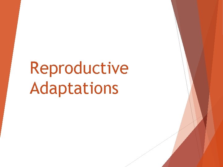 Reproductive Adaptations 