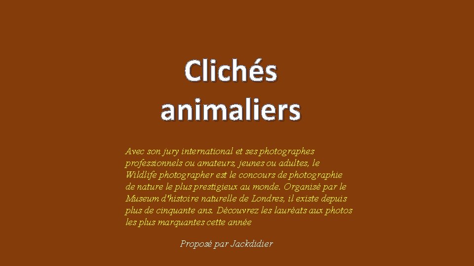 Clichés animaliers Avec son jury international et ses photographes professionnels ou amateurs, jeunes ou