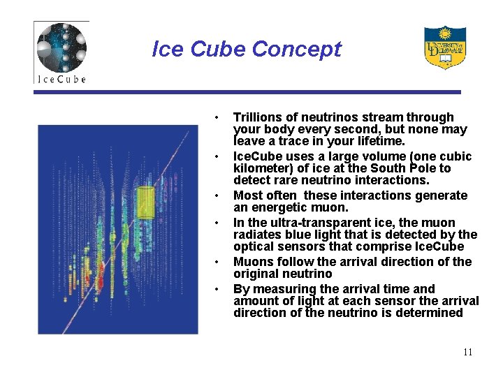 Ice Cube Concept • • • Trillions of neutrinos stream through your body every