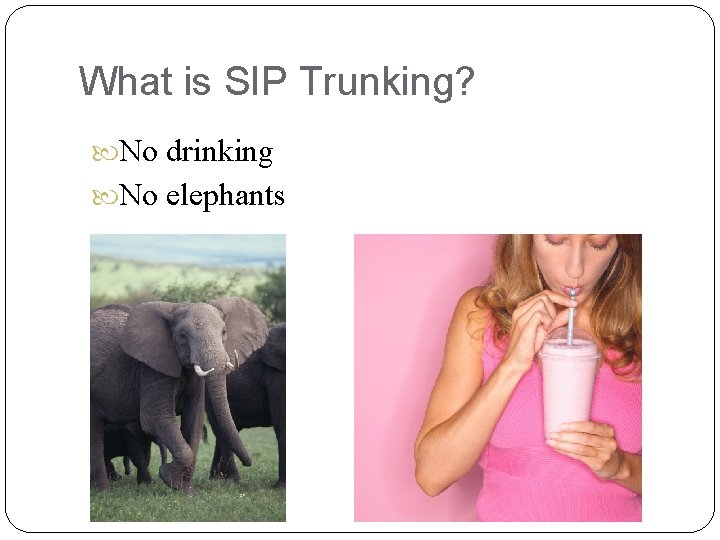 What is SIP Trunking? No drinking No elephants 