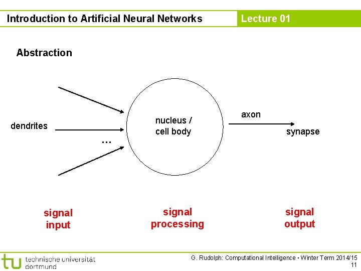 Introduction to Artificial Neural Networks Lecture 01 Abstraction dendrites … signal input nucleus /