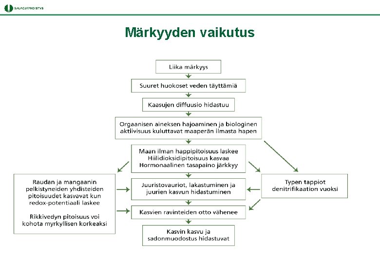 Märkyyden vaikutus Märkyyden vaikutus