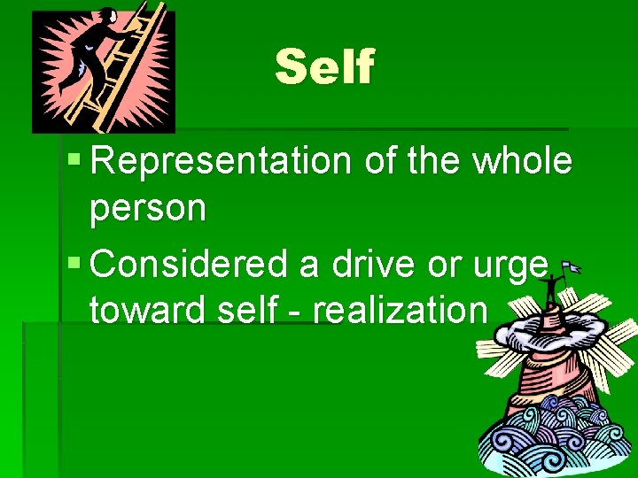 Self § Representation of the whole person § Considered a drive or urge toward