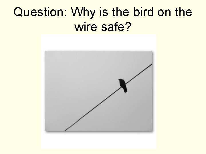 Question: Why is the bird on the wire safe? Question: Why is the bird on the wire safe?