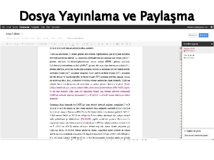 Dosya Yayınlama ve Paylaşma 