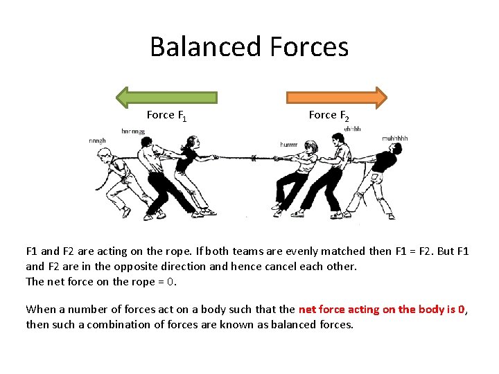 Balanced Forces Force F 1 Force F 2 F 1 and F 2 are