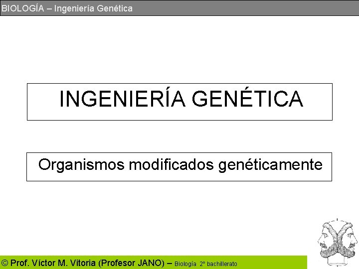 BIOLOGÍA – Ingeniería Genética INGENIERÍA GENÉTICA Organismos modificados genéticamente © Prof. Víctor M. Vitoria