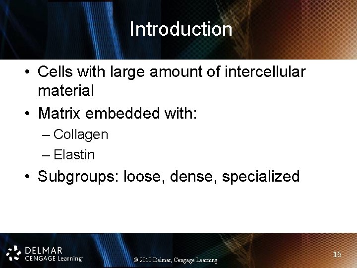 Introduction • Cells with large amount of intercellular material • Matrix embedded with: –