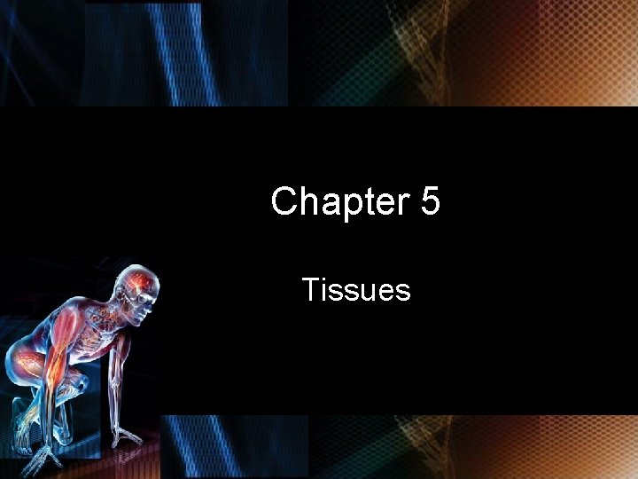 Chapter 5 Tissues © 2010 Delmar, Cengage Learning 2 