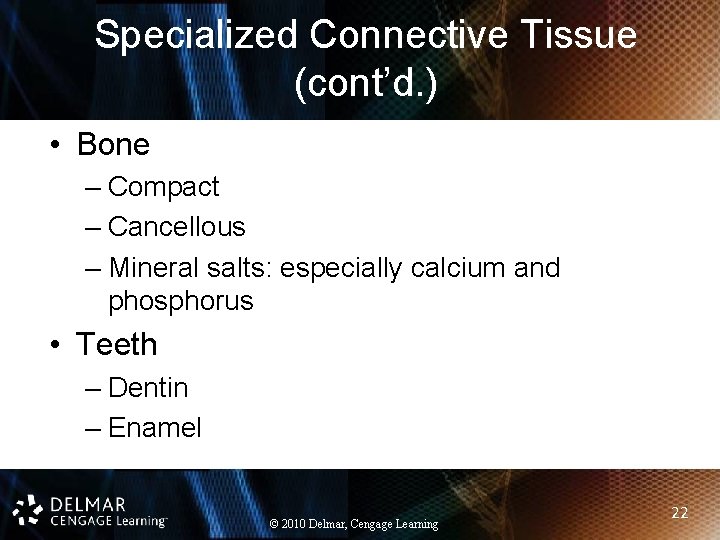 Specialized Connective Tissue (cont’d. ) • Bone – Compact – Cancellous – Mineral salts: