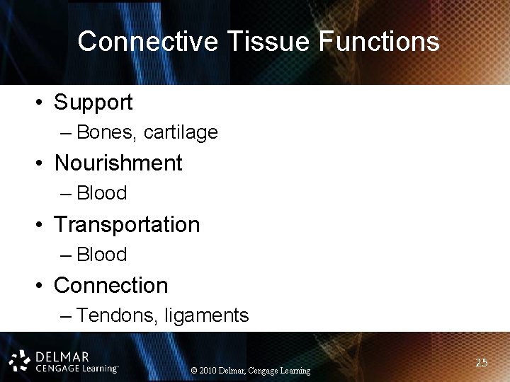 Connective Tissue Functions • Support – Bones, cartilage • Nourishment – Blood • Transportation