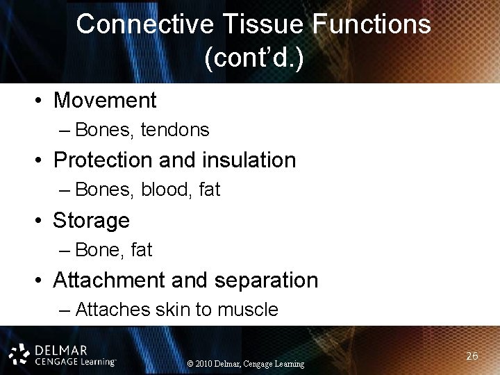 Connective Tissue Functions (cont’d. ) • Movement – Bones, tendons • Protection and insulation