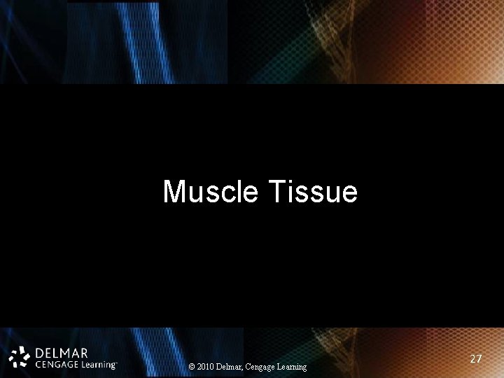Muscle Tissue © 2010 Delmar, Cengage Learning 27 