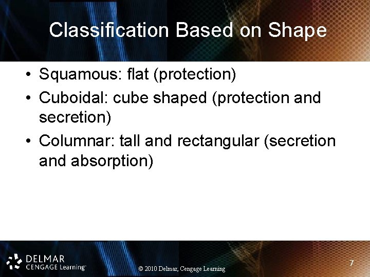 Classification Based on Shape • Squamous: flat (protection) • Cuboidal: cube shaped (protection and