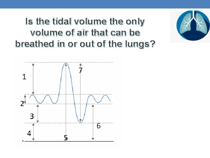 Is the tidal volume the only volume of air that can be breathed in