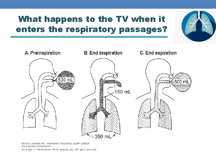 What happens to the TV when it enters the respiratory passages? 