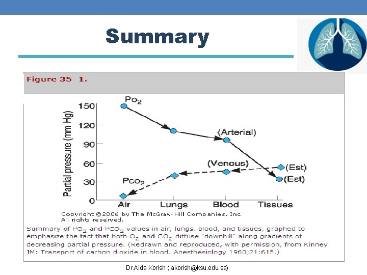 Summary Dr. Aida Korish ( akorish@ksu. edu. sa) 