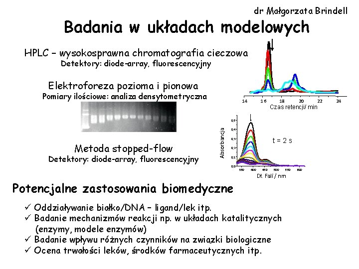 dr Małgorzata Brindell Badania w układach modelowych HPLC – wysokosprawna chromatografia cieczowa Detektory: diode-array,