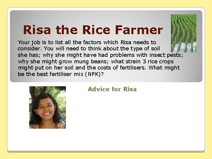 Risa the Rice Farmer Your job is to list all the factors which Risa