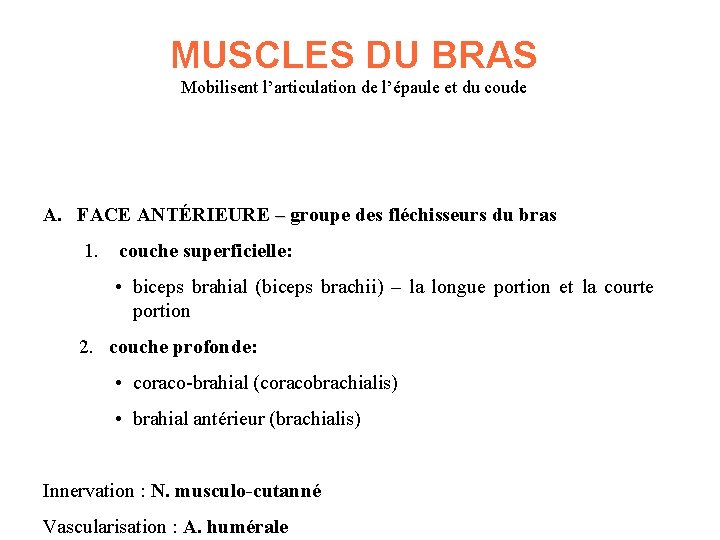 MUSCLES DU BRAS Mobilisent l’articulation de l’épaule et du coude A. FACE ANTÉRIEURE – MUSCLES DU BRAS Mobilisent l’articulation de l’épaule et du coude A. FACE ANTÉRIEURE –