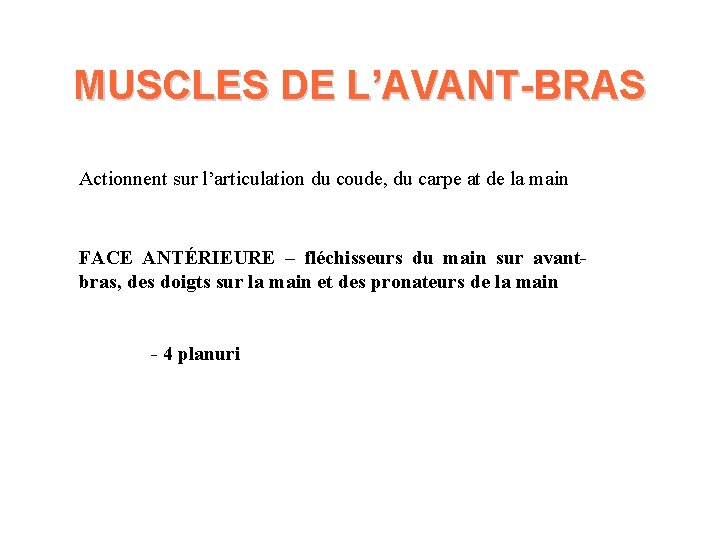 MUSCLES DE L’AVANT-BRAS Actionnent sur l’articulation du coude, du carpe at de la main MUSCLES DE L’AVANT-BRAS Actionnent sur l’articulation du coude, du carpe at de la main