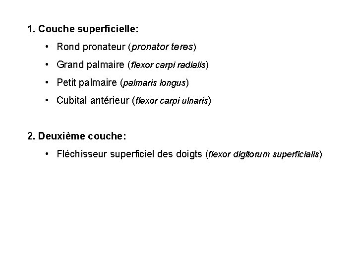 1. Couche superficielle: • Rond pronateur (pronator teres) • Grand palmaire (flexor carpi radialis) 1. Couche superficielle: • Rond pronateur (pronator teres) • Grand palmaire (flexor carpi radialis)