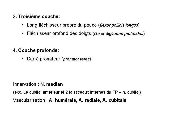 3. Troisième couche: • Long fléchisseur propre du pouce (flexor pollicis longus) • Fléchisseur 3. Troisième couche: • Long fléchisseur propre du pouce (flexor pollicis longus) • Fléchisseur