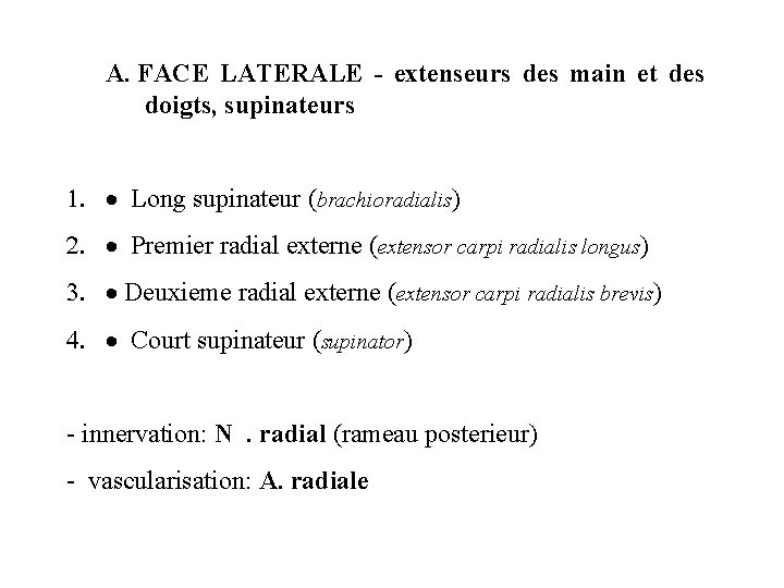 A. FACE LATERALE - extenseurs des main et des doigts, supinateurs 1. · Long A. FACE LATERALE - extenseurs des main et des doigts, supinateurs 1. · Long