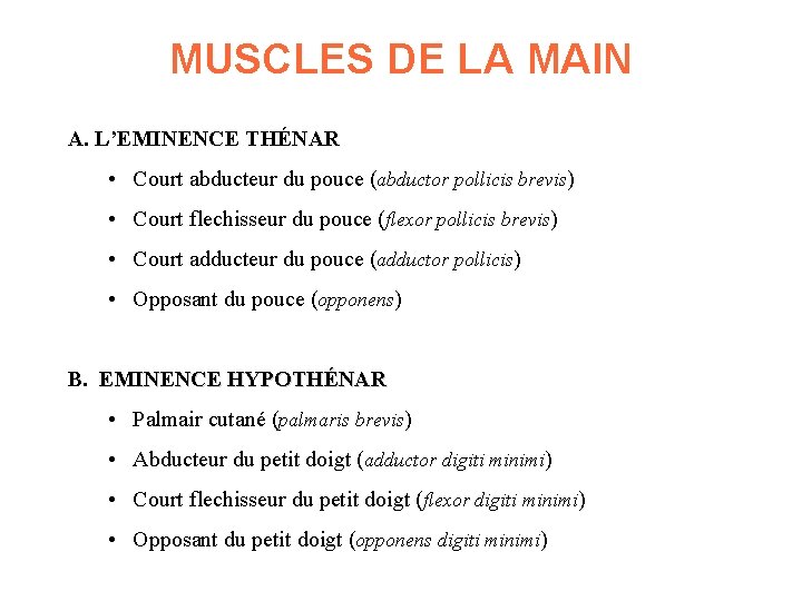 MUSCLES DE LA MAIN A. L’EMINENCE THÉNAR • Court abducteur du pouce (abductor pollicis MUSCLES DE LA MAIN A. L’EMINENCE THÉNAR • Court abducteur du pouce (abductor pollicis