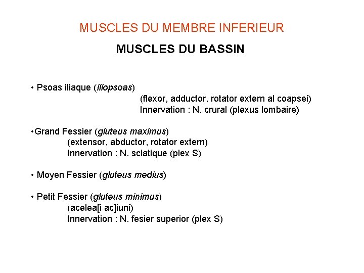 MUSCLES DU MEMBRE INFERIEUR MUSCLES DU BASSIN • Psoas iliaque (iliopsoas) (flexor, adductor, rotator MUSCLES DU MEMBRE INFERIEUR MUSCLES DU BASSIN • Psoas iliaque (iliopsoas) (flexor, adductor, rotator
