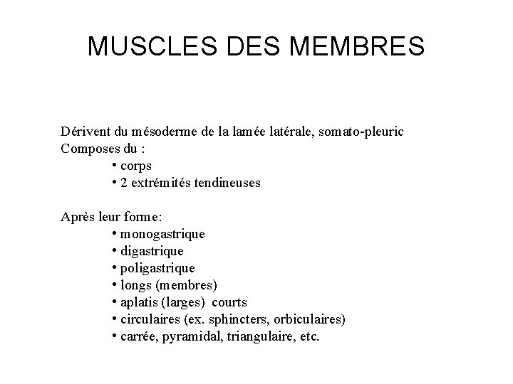 MUSCLES DES MEMBRES Dérivent du mésoderme de la lamée latérale, somato-pleuric Composes du : MUSCLES DES MEMBRES Dérivent du mésoderme de la lamée latérale, somato-pleuric Composes du :