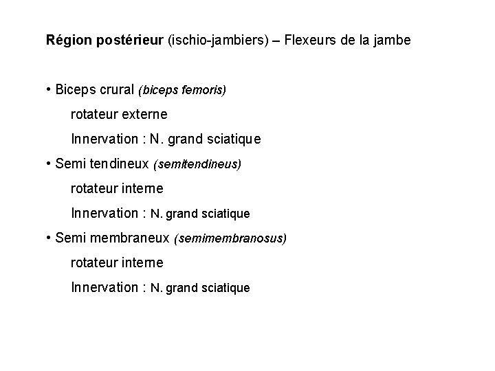 Région postérieur (ischio-jambiers) – Flexeurs de la jambe • Biceps crural (biceps femoris) rotateur Région postérieur (ischio-jambiers) – Flexeurs de la jambe • Biceps crural (biceps femoris) rotateur