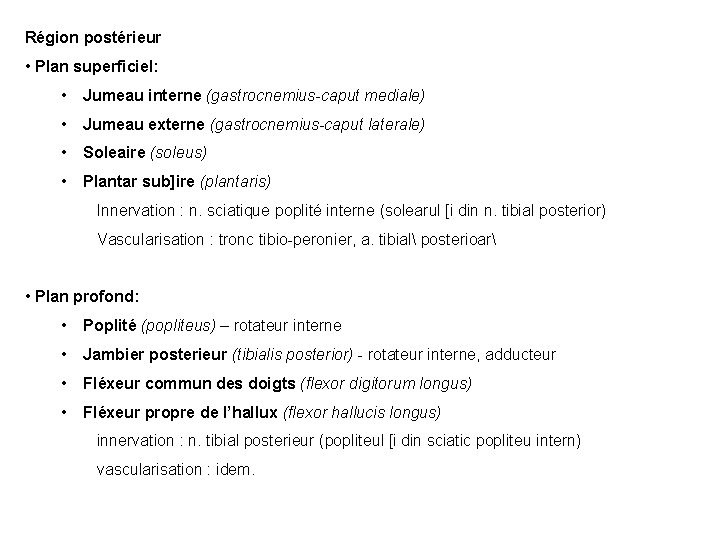 Région postérieur • Plan superficiel: • Jumeau interne (gastrocnemius-caput mediale) • Jumeau externe (gastrocnemius-caput Région postérieur • Plan superficiel: • Jumeau interne (gastrocnemius-caput mediale) • Jumeau externe (gastrocnemius-caput