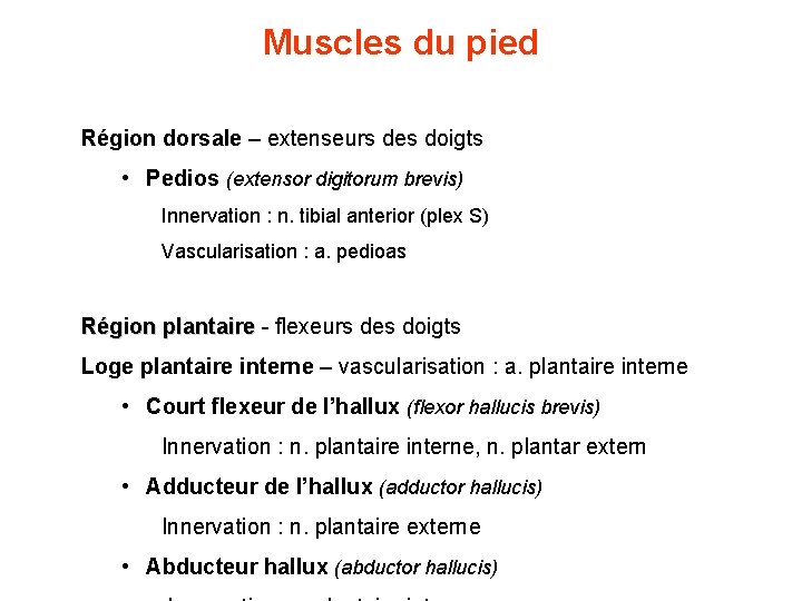 Muscles du pied Région dorsale – extenseurs des doigts • Pedios (extensor digitorum brevis) Muscles du pied Région dorsale – extenseurs des doigts • Pedios (extensor digitorum brevis)
