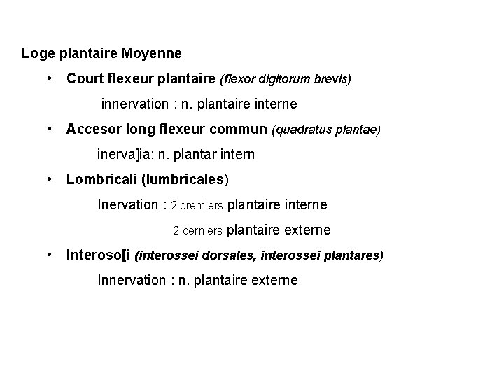 Loge plantaire Moyenne • Court flexeur plantaire (flexor digitorum brevis) innervation : n. plantaire Loge plantaire Moyenne • Court flexeur plantaire (flexor digitorum brevis) innervation : n. plantaire