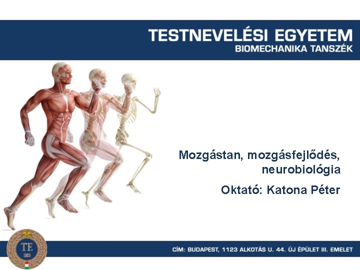 Mozgástan, mozgásfejlődés, neurobiológia Oktató: Katona Péter 