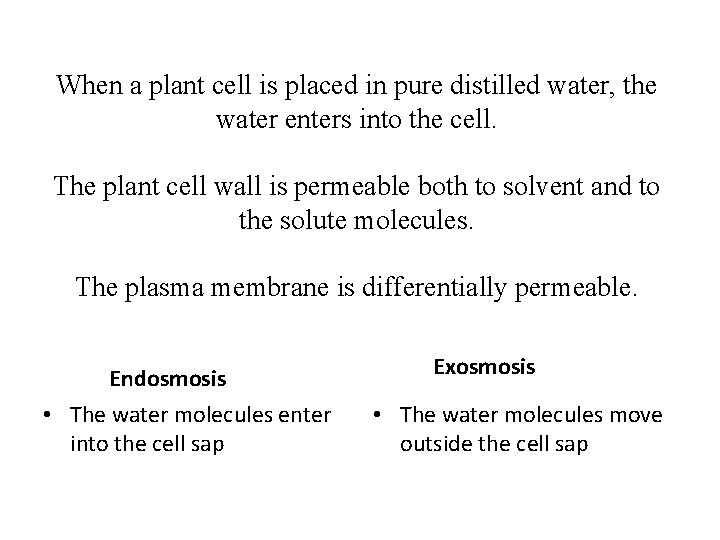 When a plant cell is placed in pure distilled water, the water enters into