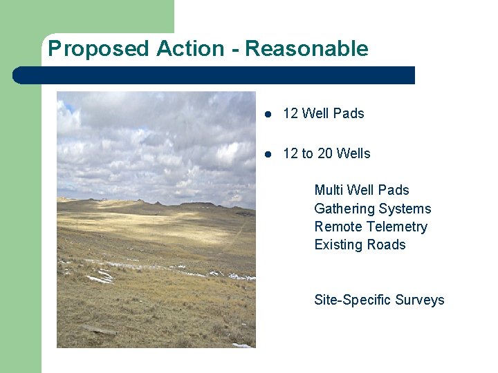 Proposed Action - Reasonable l 12 Well Pads l 12 to 20 Wells Multi