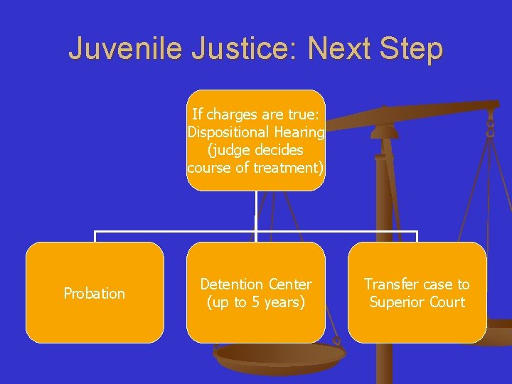 Juvenile Justice: Next Step If charges are true: Dispositional Hearing (judge decides course of