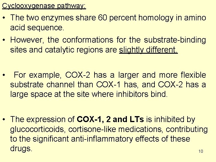 Cyclooxygenase pathway: • The two enzymes share 60 percent homology in amino acid sequence.