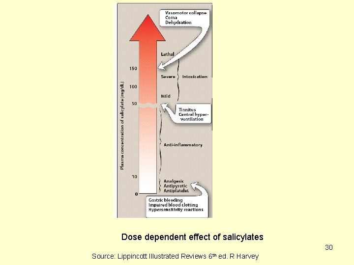 Dose dependent effect of salicylates 30 Source: Lippincott Illustrated Reviews 6 th ed. R