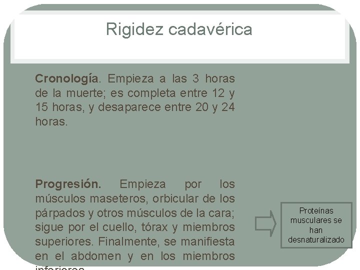 Rigidez cadavérica • • Cronología. Empieza a las 3 horas de la muerte; es Rigidez cadavérica • • Cronología. Empieza a las 3 horas de la muerte; es